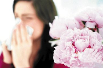 ƤҽԺݡ˽
