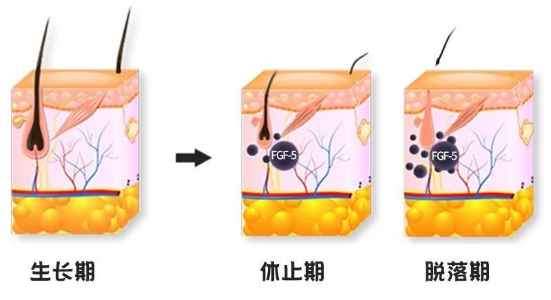 广州肤康皮肤病医院